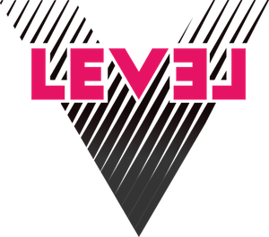 Level V